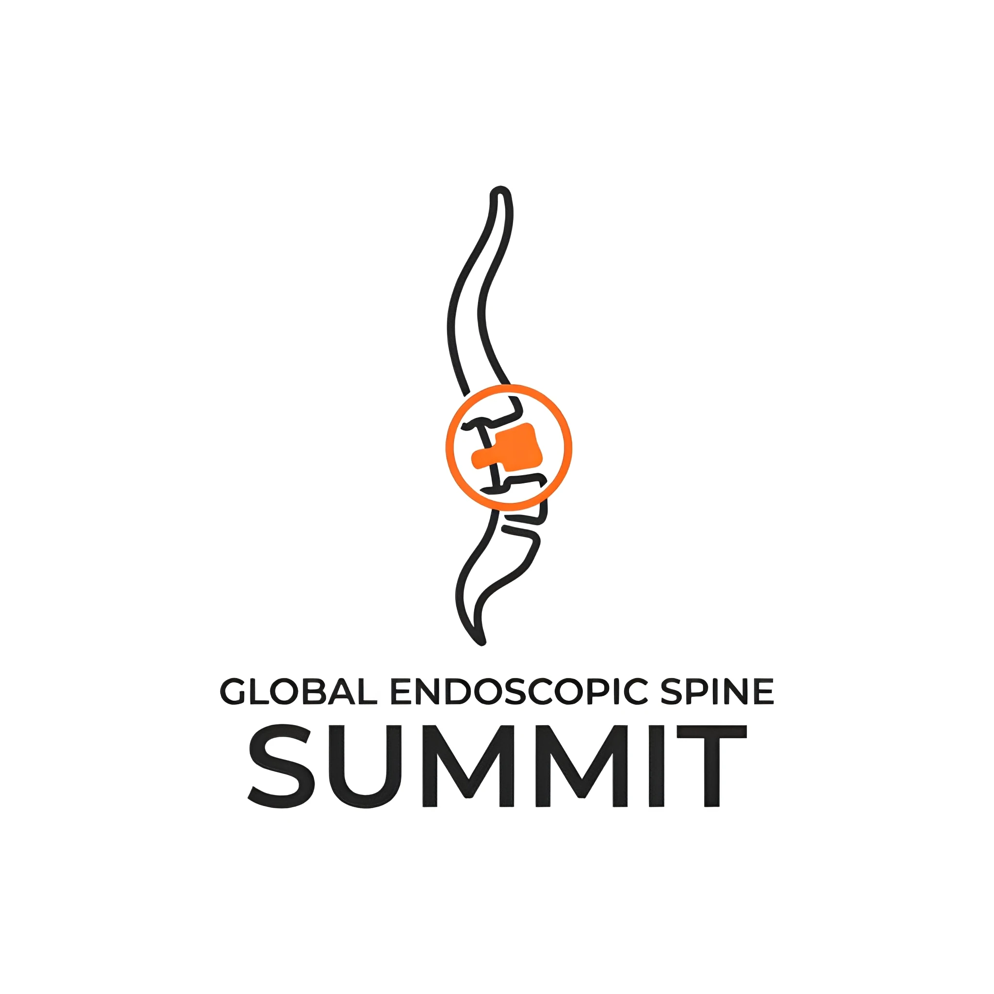 Global Endoscopic Spine Summit